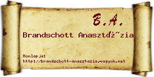 Brandschott Anasztázia névjegykártya
